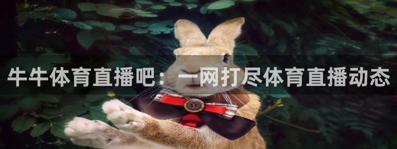 牛牛体育直播吧：一网打尽体育直播动态