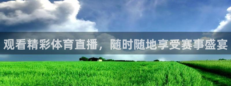 观看精彩体育直播，随时随地享受赛事盛宴