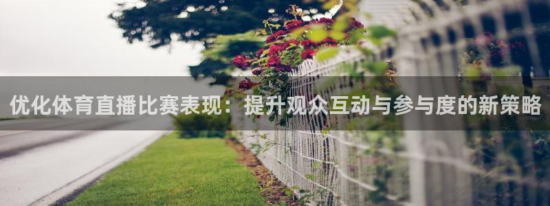 优化体育直播比赛表现：提升观众互动与参与度的新策略