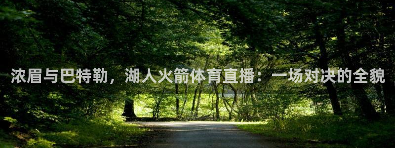 浓眉与巴特勒，湖人火箭体育直播：一场对决的全貌