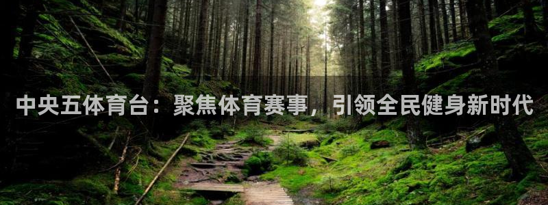 中央五体育台：聚焦体育赛事，引领全民健身新时代