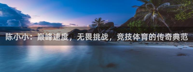 陈小小：巅峰速度，无畏挑战，竞技体育的传奇典范