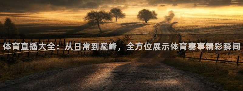 体育直播大全：从日常到巅峰，全方位展示体育赛事精彩瞬间