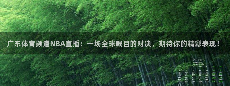 广东体育频道NBA直播：一场全球瞩目的对决，期待你的精彩表现！